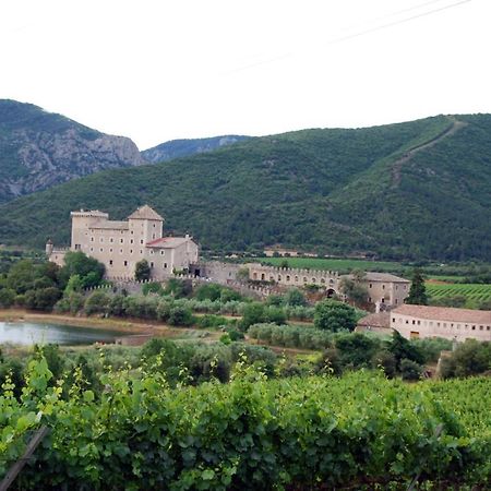Апартаменти Castell De Riudabella Vimbodi I Poblet Екстер'єр фото