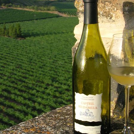 Апартаменти Castell De Riudabella Vimbodi I Poblet Екстер'єр фото