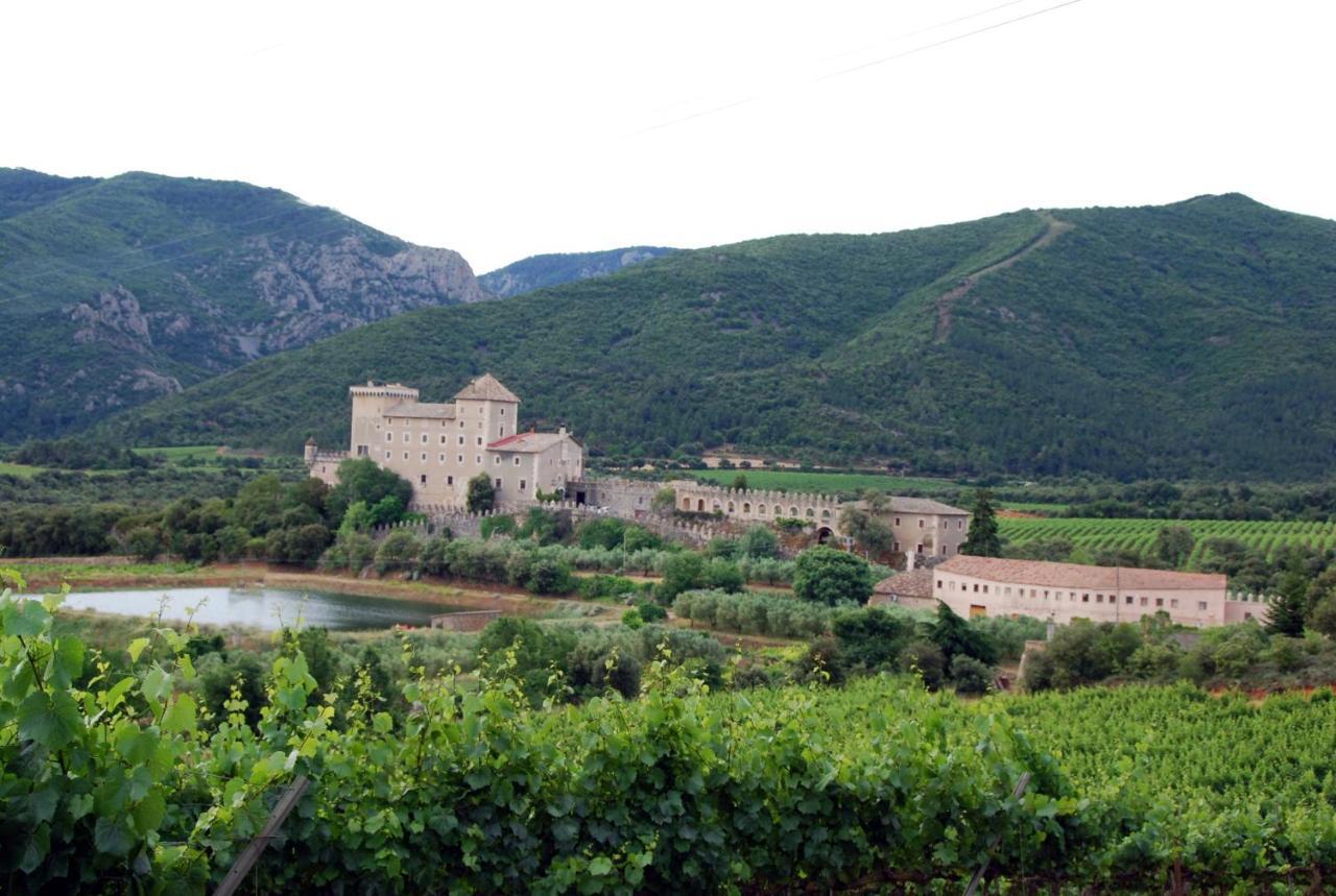 Апартаменти Castell De Riudabella Vimbodi I Poblet Екстер'єр фото