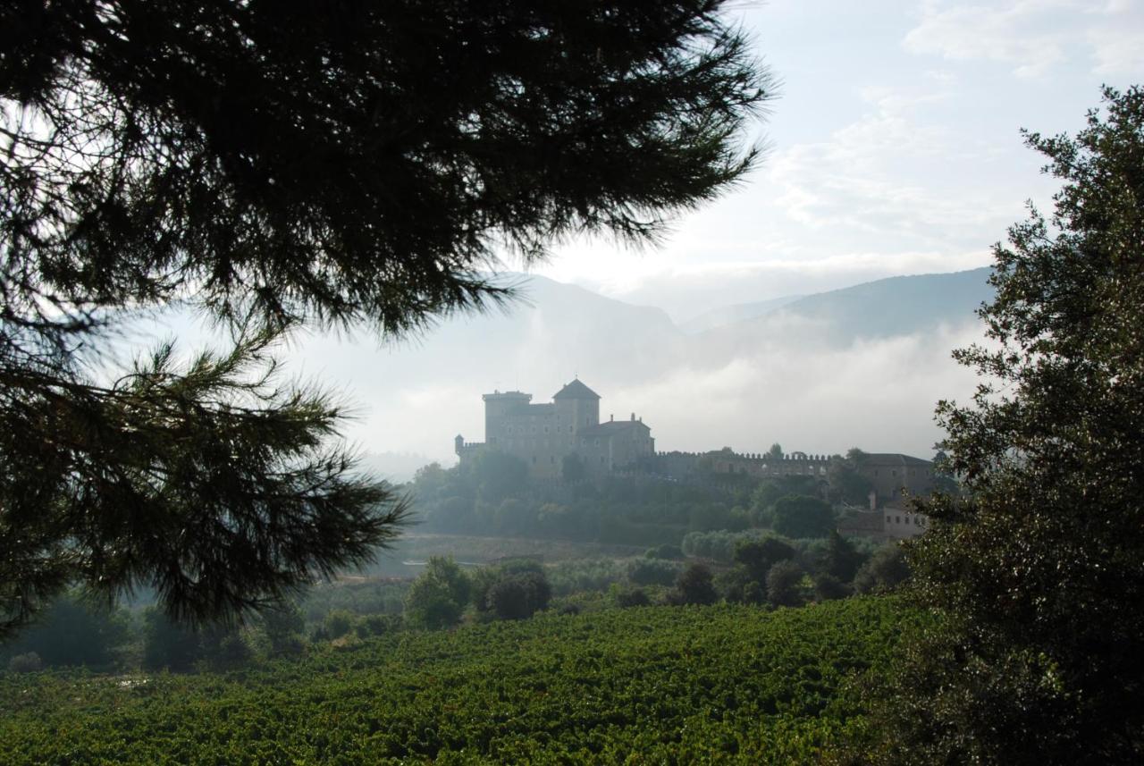 Апартаменти Castell De Riudabella Vimbodi I Poblet Екстер'єр фото