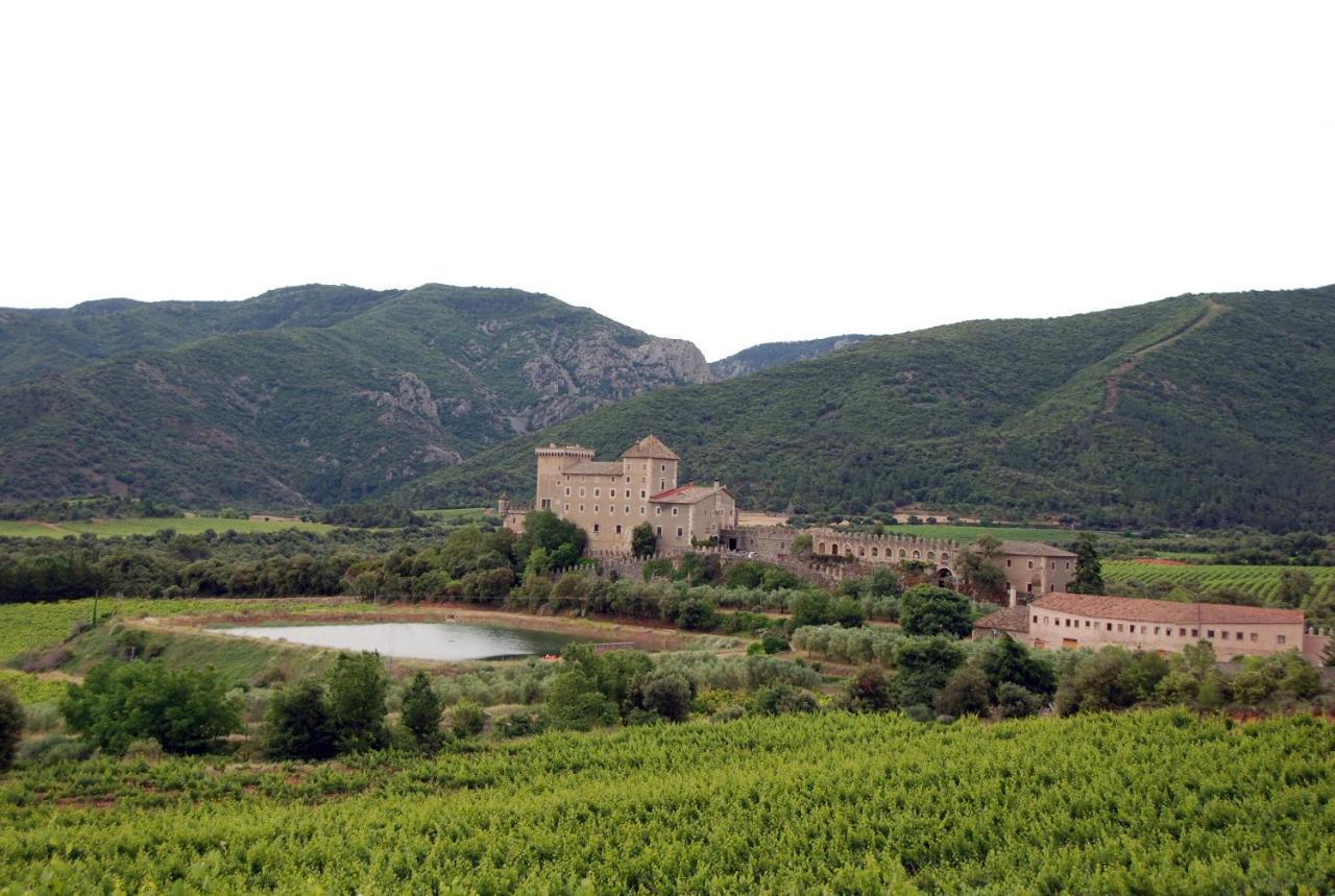 Апартаменти Castell De Riudabella Vimbodi I Poblet Екстер'єр фото